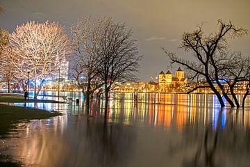 Overstroming op de Rijn #1 van Stefan Havadi-Nagy