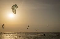 Kitesurfer in evening sun by Linda Raaphorst thumbnail