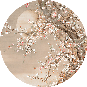 Japanse pruimenbloesems in maanlicht - Sō Shizan van Kjubik