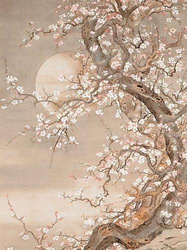 Japanese plum blossoms in moonlight - Sō Shizan by Kjubik