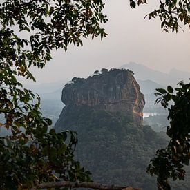 Lion Rock, Sigiriya Lion, Sri Lanka van Thousandtravelmiles