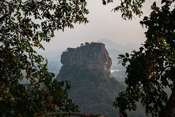 Lion Rock, Sigiriya Lion, Sri Lanka by Thousandtravelmiles