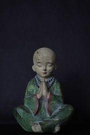 Little Buddha  van Sonja Onstenk
