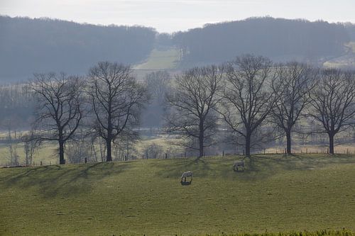 Gulpdal bij kasteel Neubourg in de winter