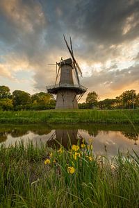 Windmühle de Juffer in Gasselternijveen