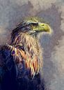 Arend aquarel vogel #arend van JBJart Justyna Jaszke thumbnail