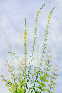 Natur-Kunst