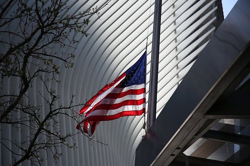 Amerikaanse vlag
