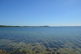 Wanderung durch der Goor, Lauterbach auf Rügen