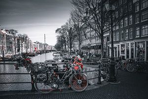 Amsterdam in the Netherlands is not just black and white