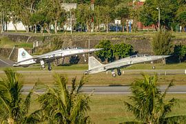 Zwei taiwanesische Northrop F-5F Tiger II-Kampfjets. von Jaap van den Berg