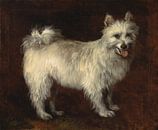 Thomas Gainsborough. Spitz Dog van 1000 Schilderijen thumbnail