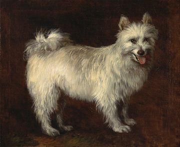 Thomas Gainsborough. Spitz Dog