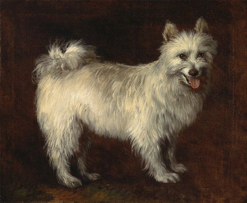 Thomas Gainsborough. Spitz Dog