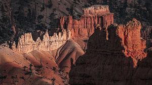 Bryce Canyon Nahaufnahme - Naturfotografie in warmen Orangetönen