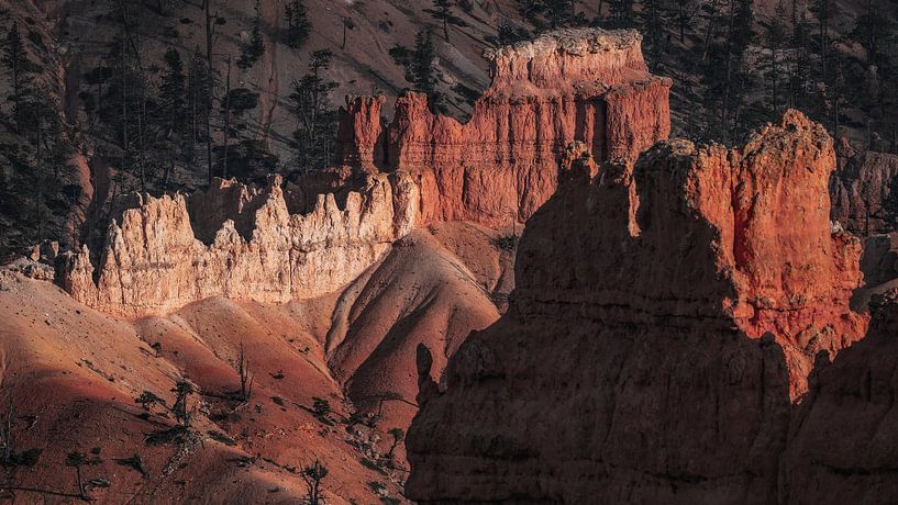 Bryce Canyon Close-up - Nature photography in warm orange tones by Photo Wall Decoration