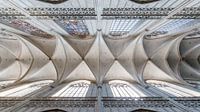 Ceiling of a gothic church