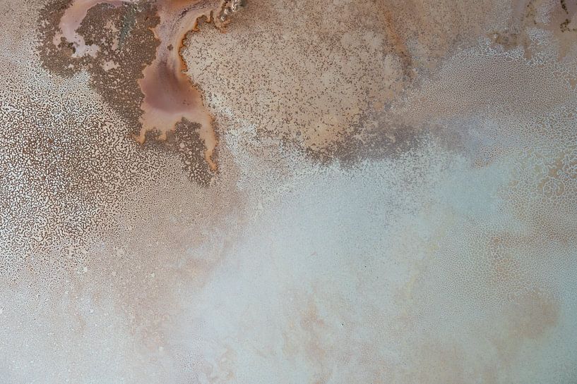 Fusion von Petra Meikle de Vlas