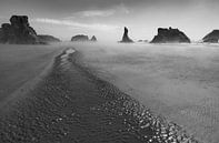 Mist op Brandon Beach Oregon van Charlotte Bakker thumbnail