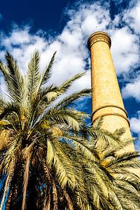 Schornstein und Palme