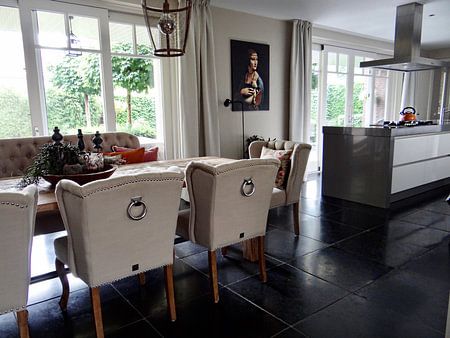 Dame mit Hermelin, Leonardo da Vinci