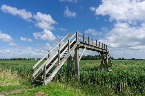 Houten brug over een sloot in de weilanden (Pieterpad) van Jacoba de Boer
