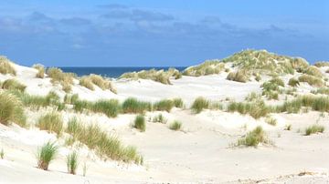 Les dunes de Terschelling sur Jessica Berendsen