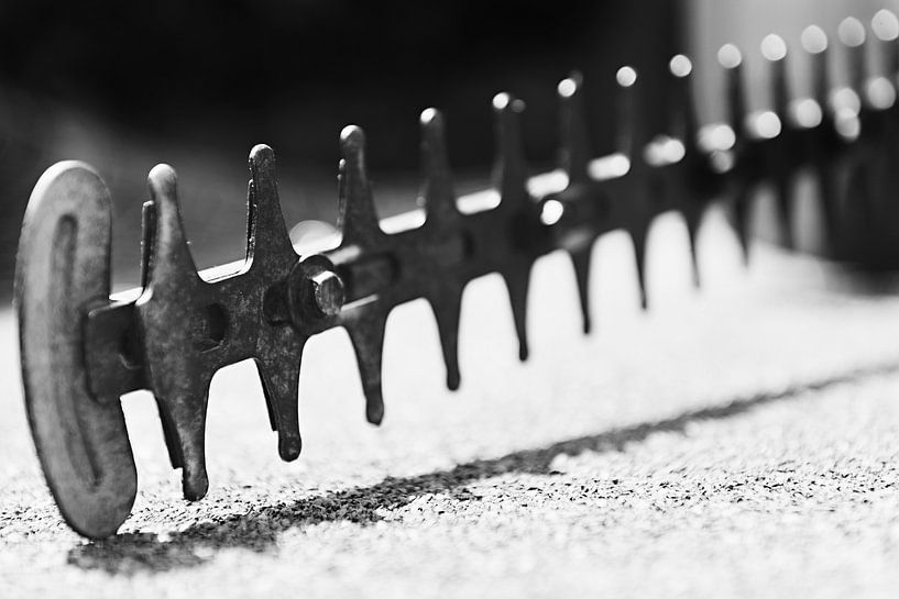 Ruig von Maren Oude Essink