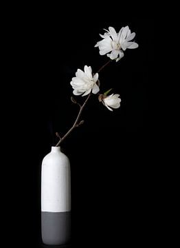 Witte Magnolia in vaas van Anjo Kan