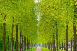 Zeewolde Flevoland by Robinotof