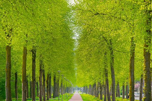 Zeewolde Flevoland van Robinotof