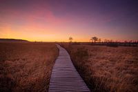 Der Weg ins Unendliche