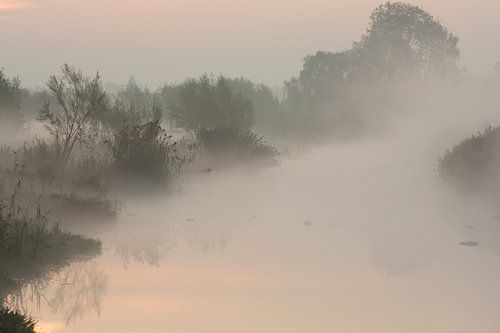 Ochtendnevel bij zonsopkomst 