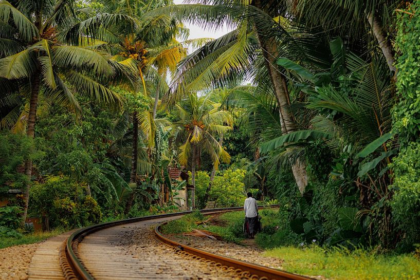 The train tracks in Sri Lanka's countryside are world-famous and super photogenic. by Patrick Fotografeert