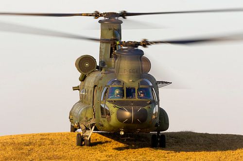 Chinook transporthelikopter aan het werk!