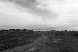 Photos de l'île de Langeoog, située en Frise orientale, dans la mer du Nord. sur Bianca Meyering Fotos - BMF