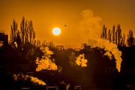 Lever du soleil à Overschie (Rotterdam) par Fred Leeflang Aperçu