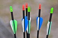 ZEN in der Kunst des Bogenschießens 