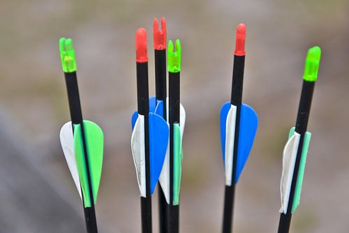 ZEN in de kunst van het boogschieten