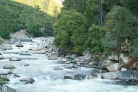 Yosemite National Park