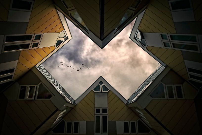Maisons Cube Rotterdam par Wim Schuurmans