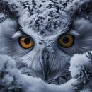 Sneeuw Uil van DNH Expressions thumbnail