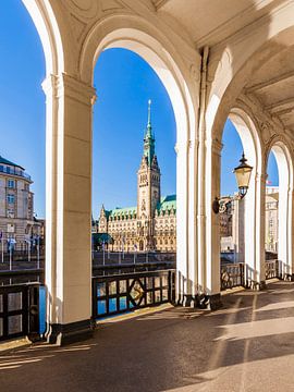 Alsterarkaden en het stadhuis in Hamburg van Werner Dieterich