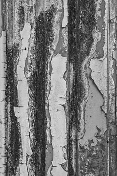 Abstract afgebladderde verf in zwart wit. van Anneke Hooijer