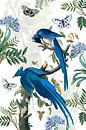 Die blauen Vögel sind zurück von christine b-b müller Miniaturansicht