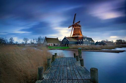 Die Ratte von Niels  de Vries