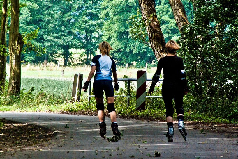 skate by Norbert Sülzner