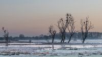 sunrise at Bourgoyen
