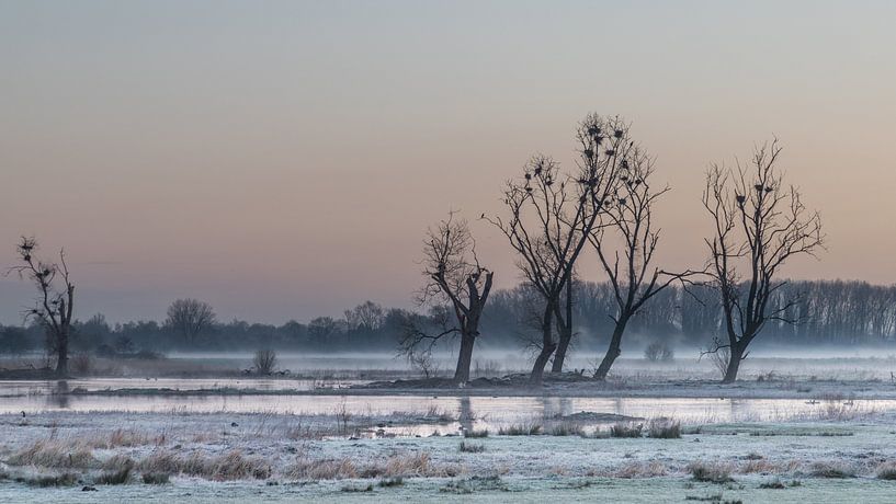 sunrise at Bourgoyen von Koen Ceusters