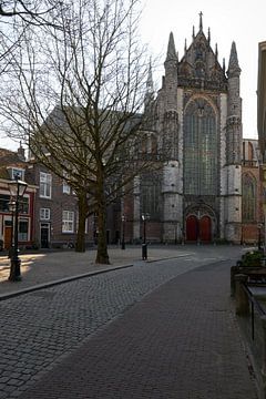 Hooglandse kerk in Leiden van Peter Bartelings
